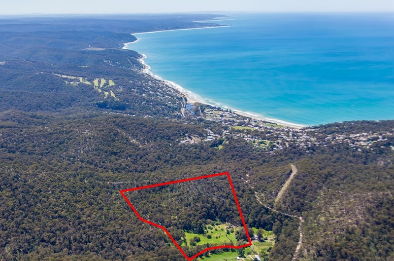 100 Allenvale Road, Lorne, VIC, Lorne - Thumbnail 6