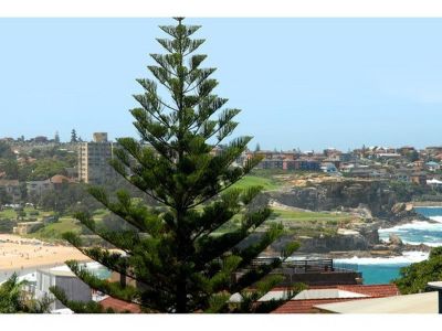 6/102 Dudley Street COOGEE NSW, Coogee - Thumbnail 2
