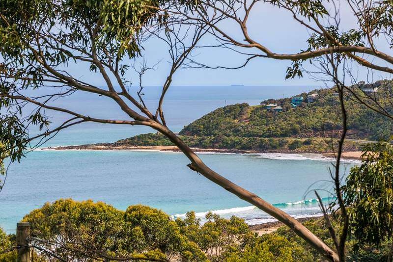 7  Mitchell Grove, Separation Creek, VIC, Separation Creek - Thumbnail 2
