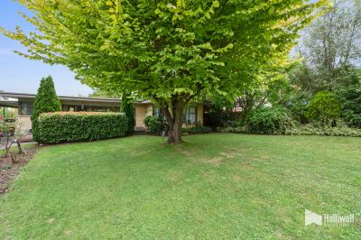 2
 
 
 
  
 
 
 1
 
 
 
  
 
 
 2
 
 
 
 
 
 
 
 22 Forth Street, Latrobe TAS 7307, Latrobe - Thumbnail 8