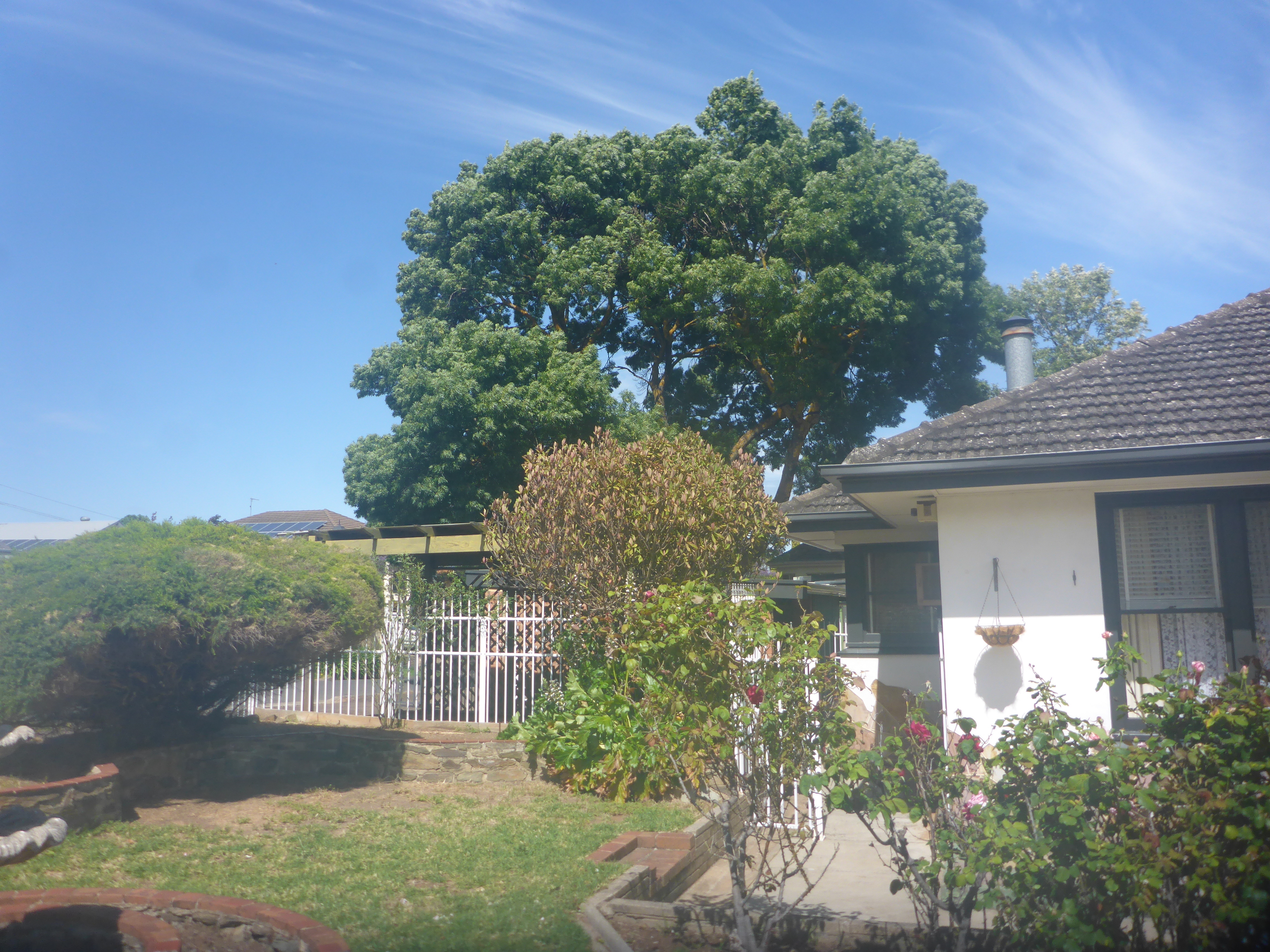 37 Pepper Street Magill 5072