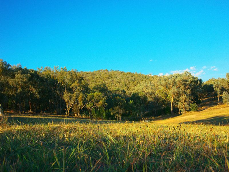 50 Gould Avenue West Albury NSW, West Albury - Thumbnail 2