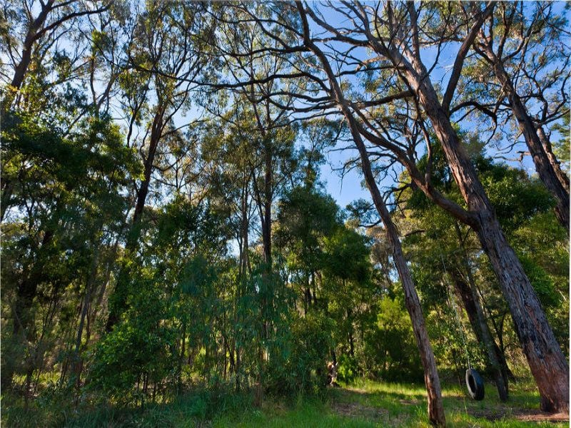 1697 Birregurra Forrest Road BARWON DOWNS VIC, Barwon Downs - Thumbnail 8