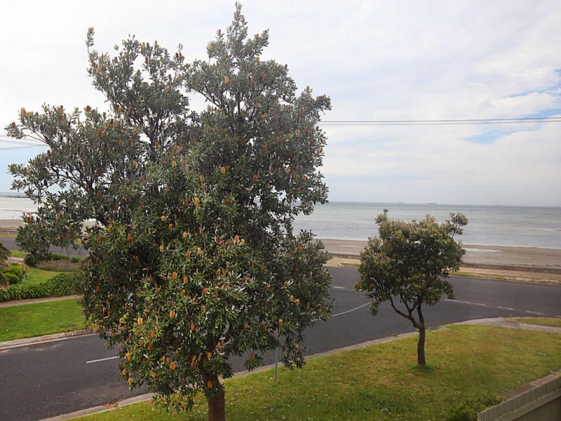 9/245 Esplanade, Altona - Thumbnail 2