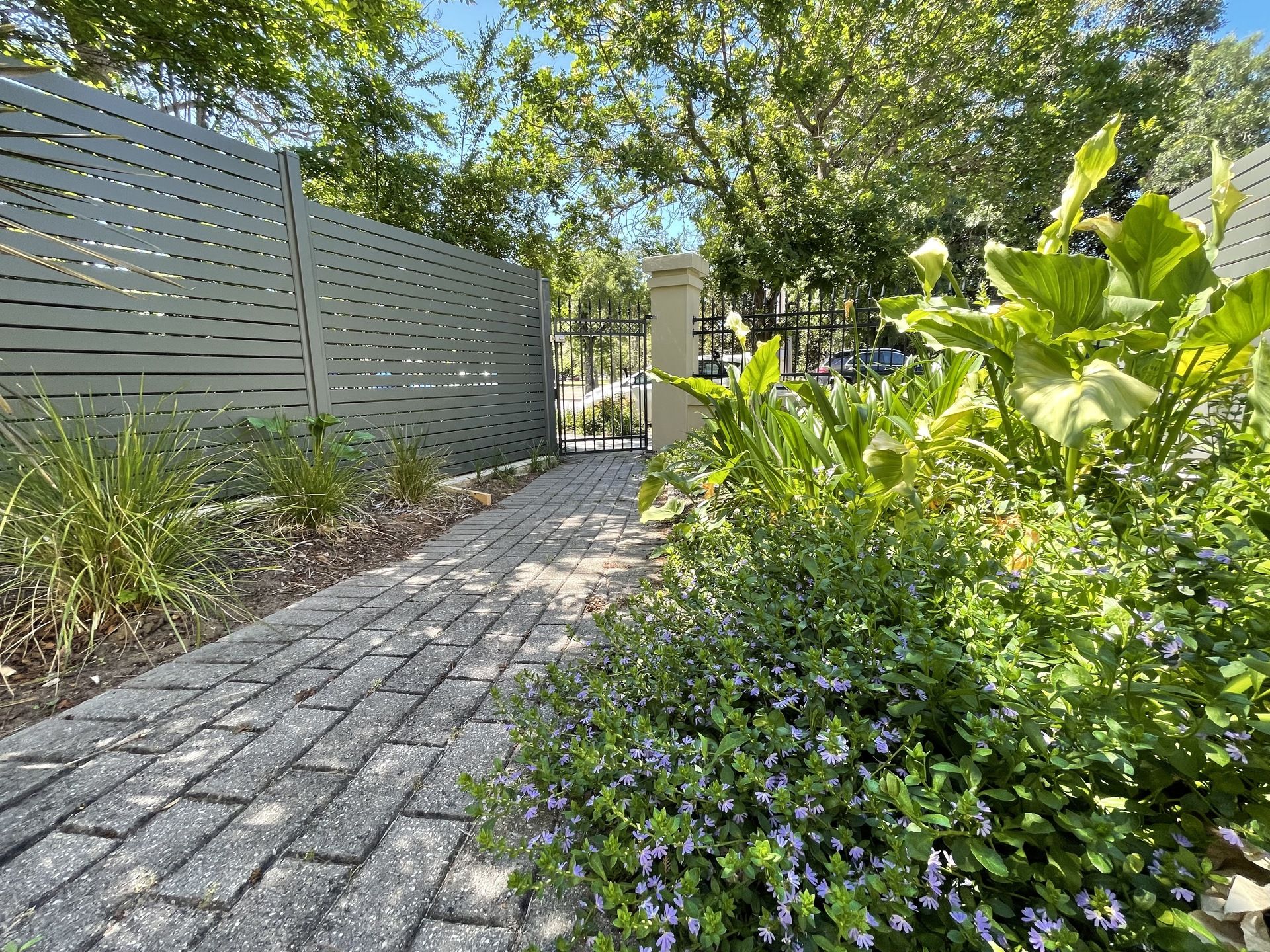 172 MacKinnon Parade North Adelaide 5006