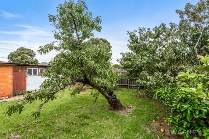 12 Paproth Grove, Altona North - Thumbnail 6
