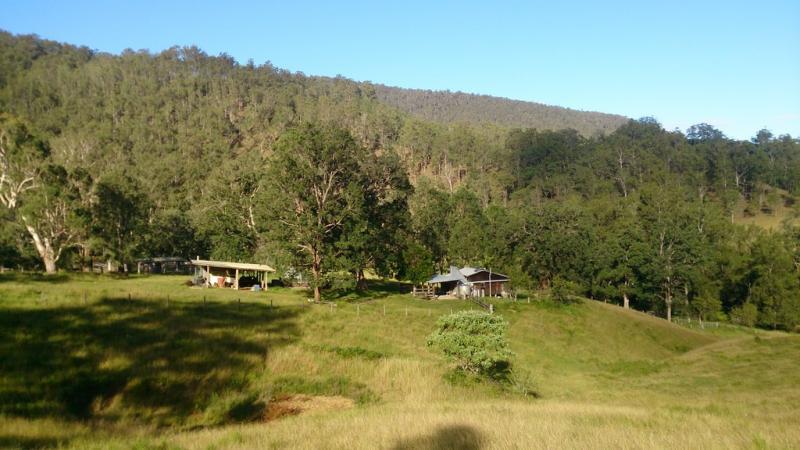 , YARROWITCH NSW 2354