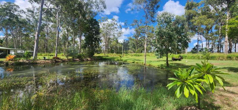 1367 Bucca Road, Bucca, Bucca - Thumbnail 3