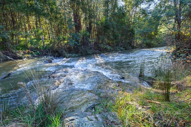 2619 Whittlesea-Yea Road Flowerdale VIC, Flowerdale - Thumbnail 6