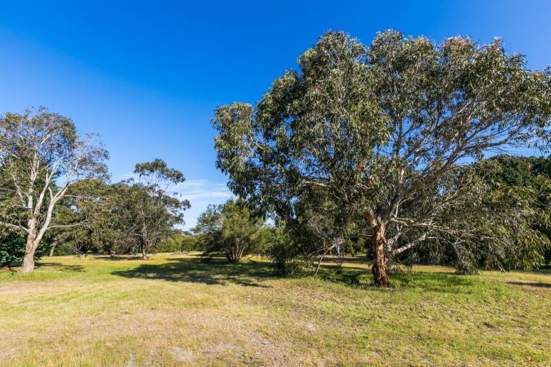 Lot 2 / 80 Aquarius Avenue, Torquay - Thumbnail 5