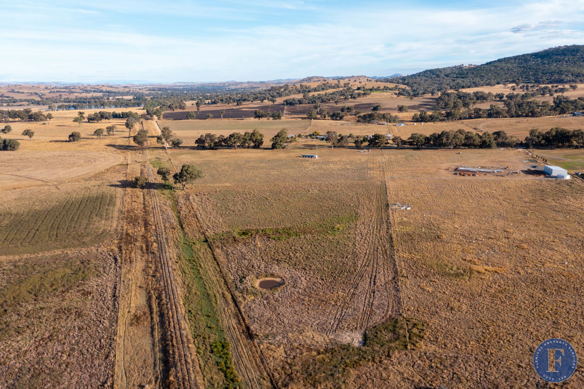 405 Back Brawlin Road, Cootamundra NSW, Cootamundra - Thumbnail 7