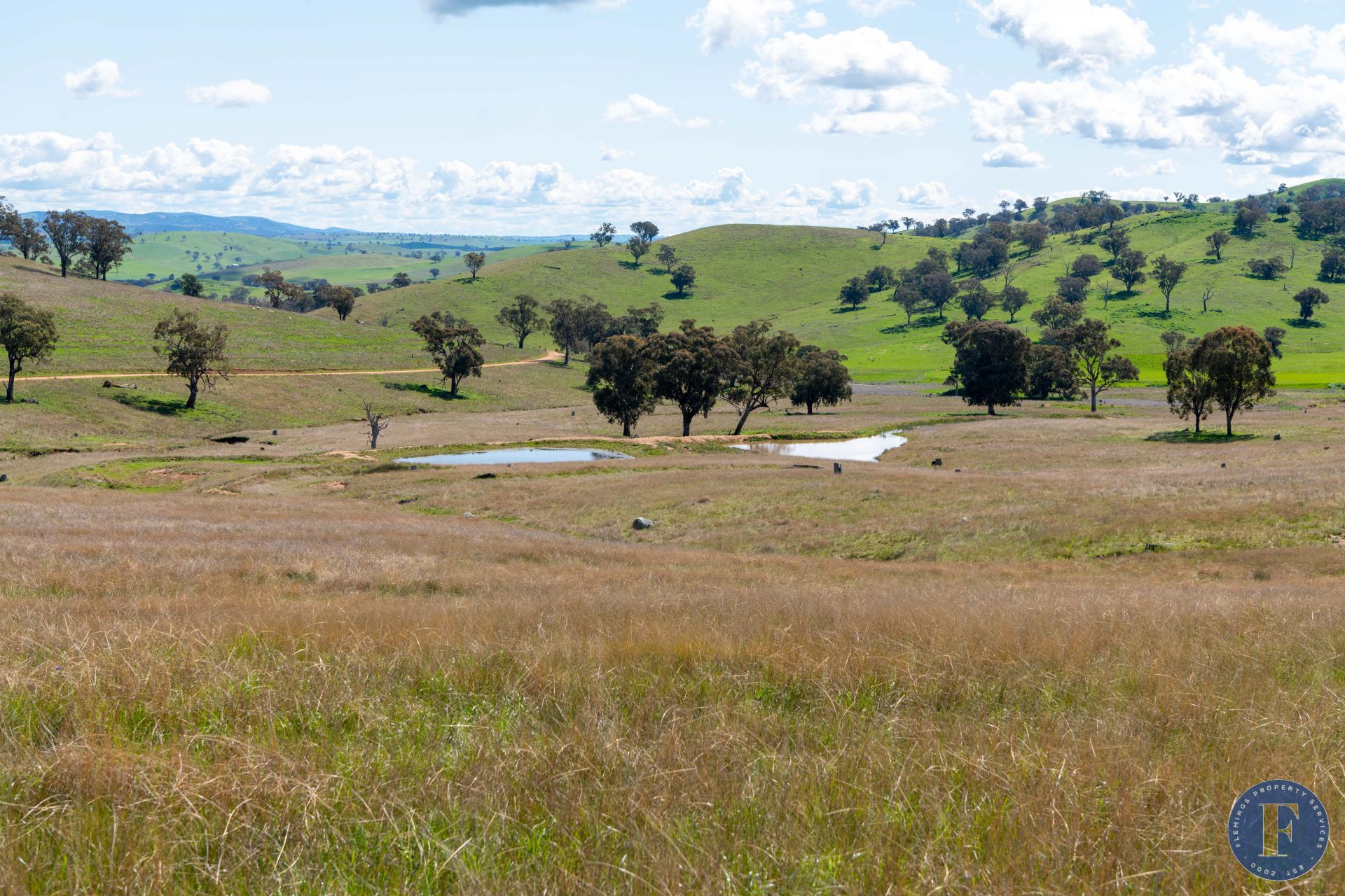 444 Hoares Lane, Coolac NSW, Coolac - Thumbnail 3