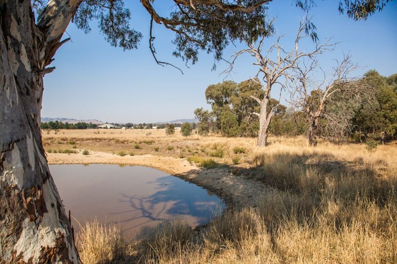 Molkentin Road Jindera NSW, Jindera - Thumbnail 5