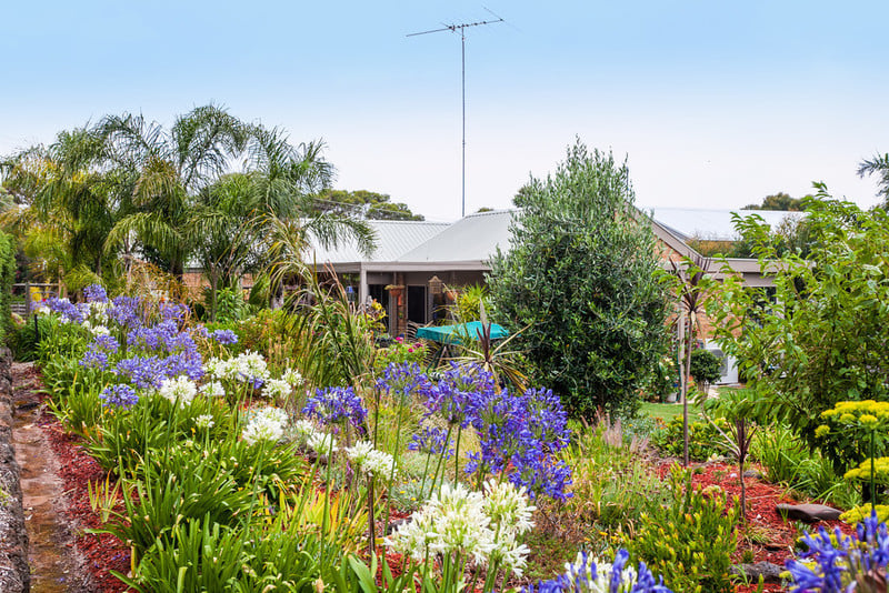 38 O'Donohue Road, Anglesea, VIC, Anglesea - Thumbnail 6