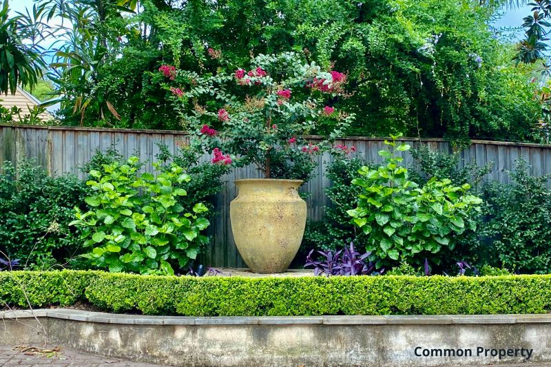 Real Estate For Sale 7/49 Ben Boyd Road Neutral Bay , NSW