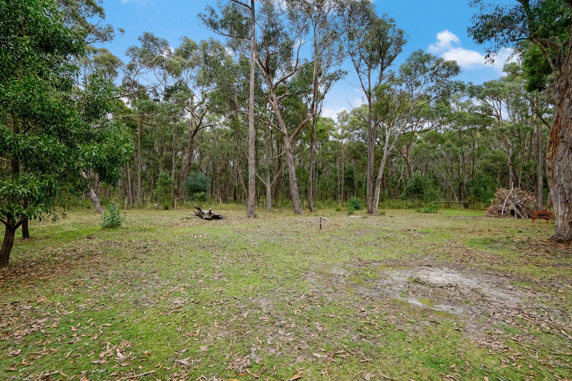 62 Melaleuca Road, Enfield, Enfield, Enfield - Thumbnail 2