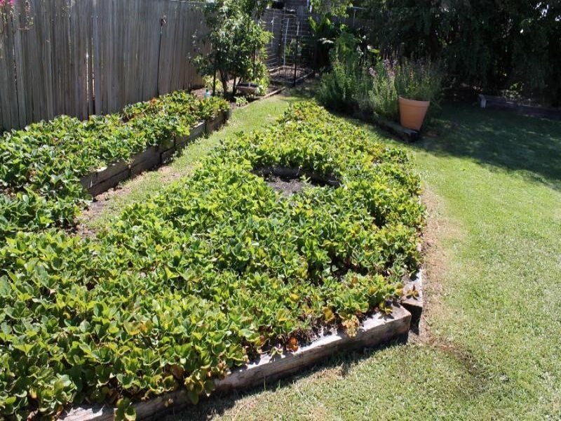 4 Robinson Street MOUNT GAMBIER SA, Mount Gambier - Thumbnail 7