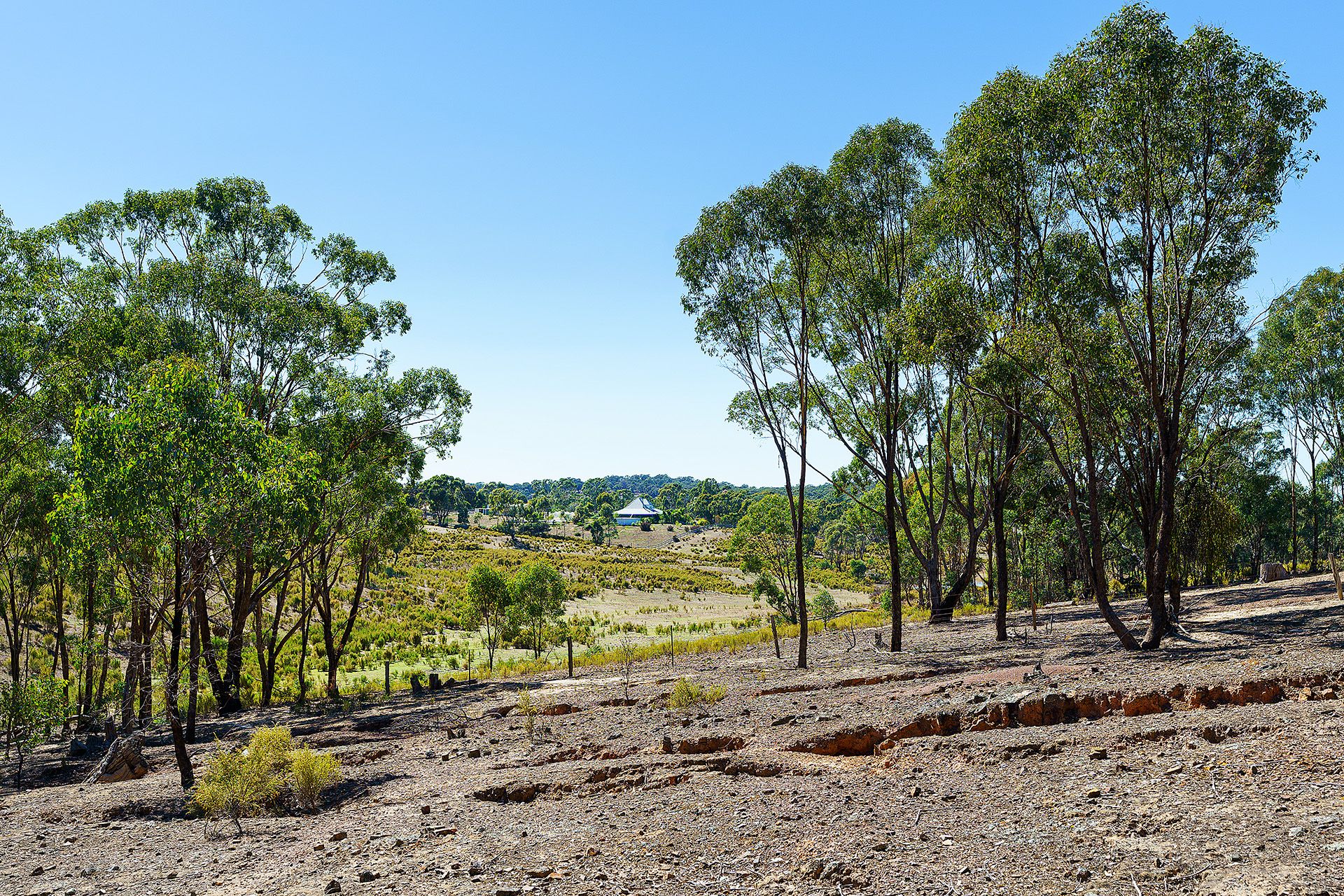 Lot 1/ Hylands Lane, Heathcote VIC 3523