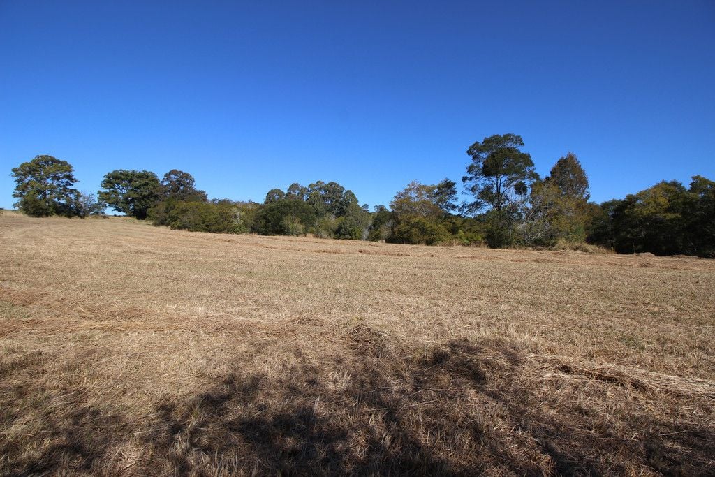 444 Upper Rollands Plains Road, UPPER ROLLANDS PLAINS NSW 2441