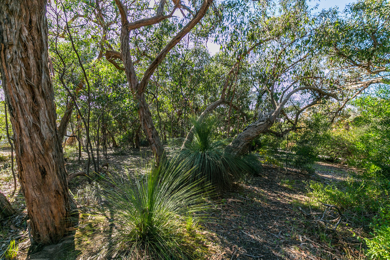 13 Birkdale Close, Anglesea, VIC, Anglesea - Thumbnail 2