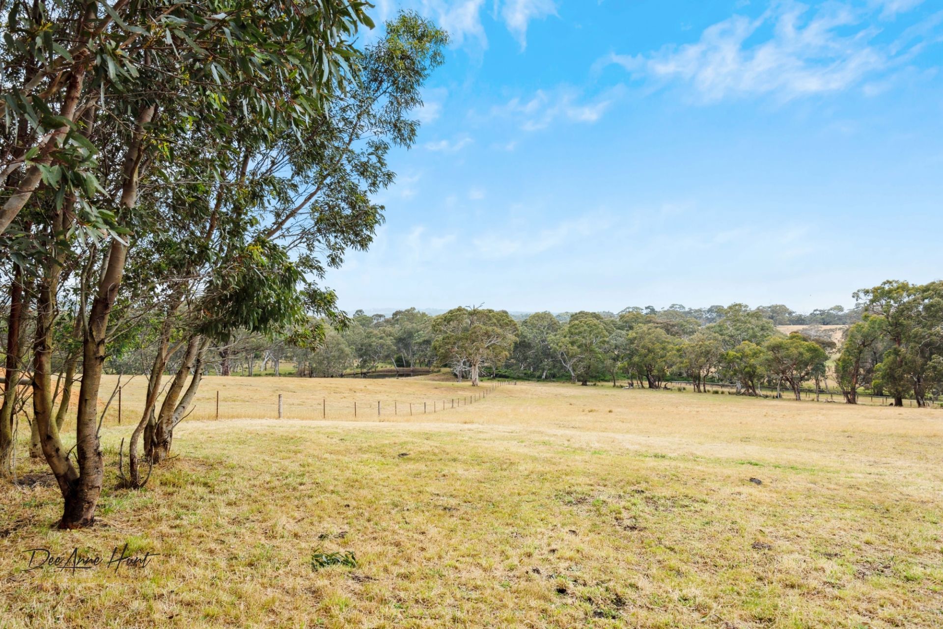 39 Hammersmith Drive, Meadows Williams Real Estate