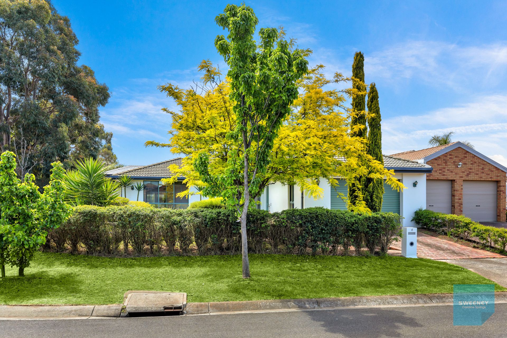 6 Brogil Walk, Sydenham - Thumbnail 3