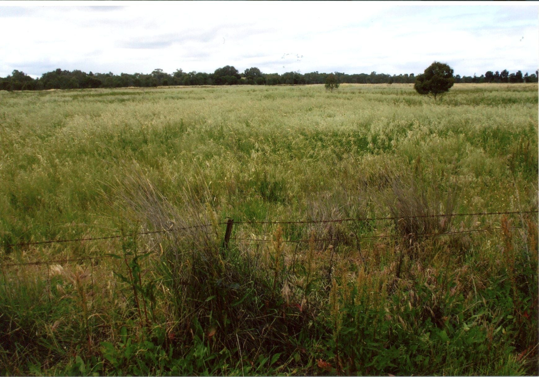 Parcel 9 Riverside Road, Horsham VIC 3400