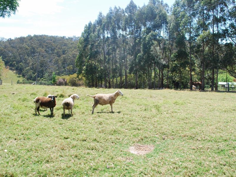 232 Bald Hills Road, Bald Hills