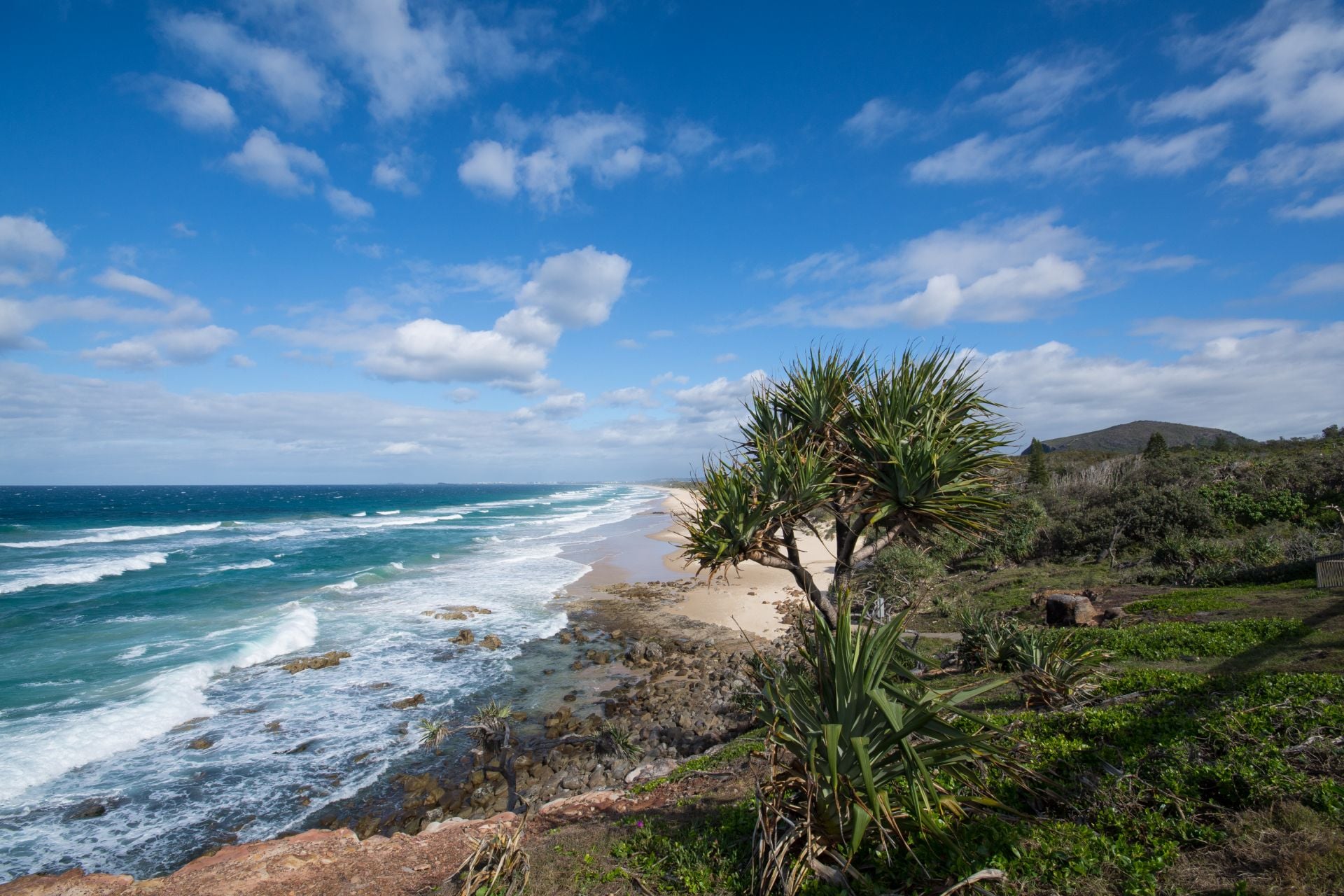 3/15 Andrew Street Point Arkwright QLD, Point Arkwright - Thumbnail 3