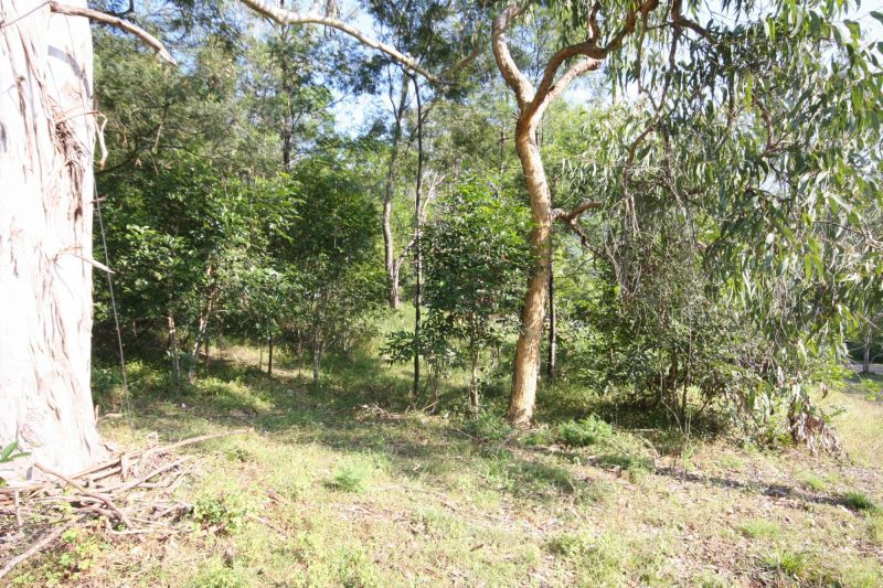 Real Estate For Sale Lower Macdonald , NSW