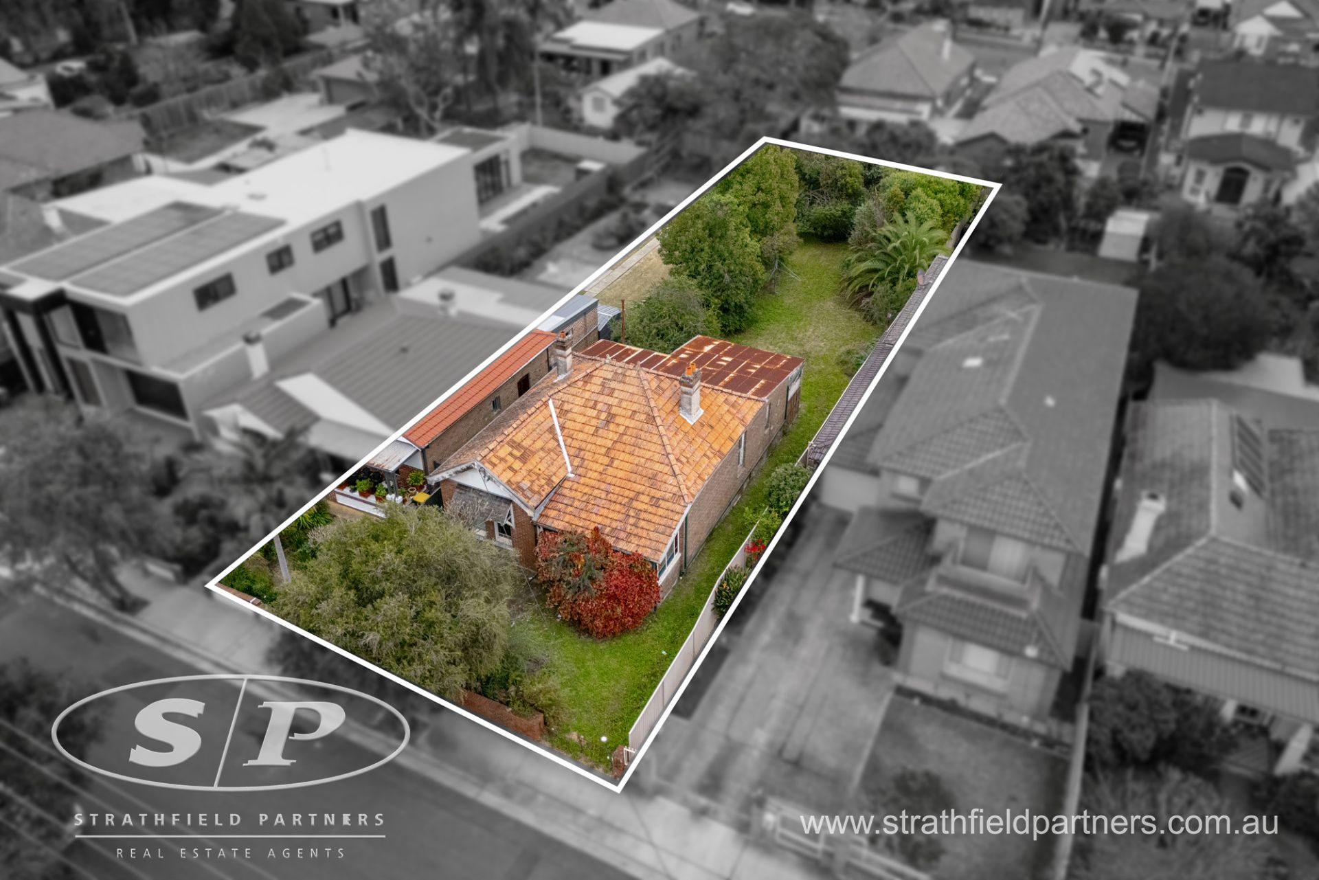 21 Angelo Street, Burwood, Burwood - Thumbnail 3