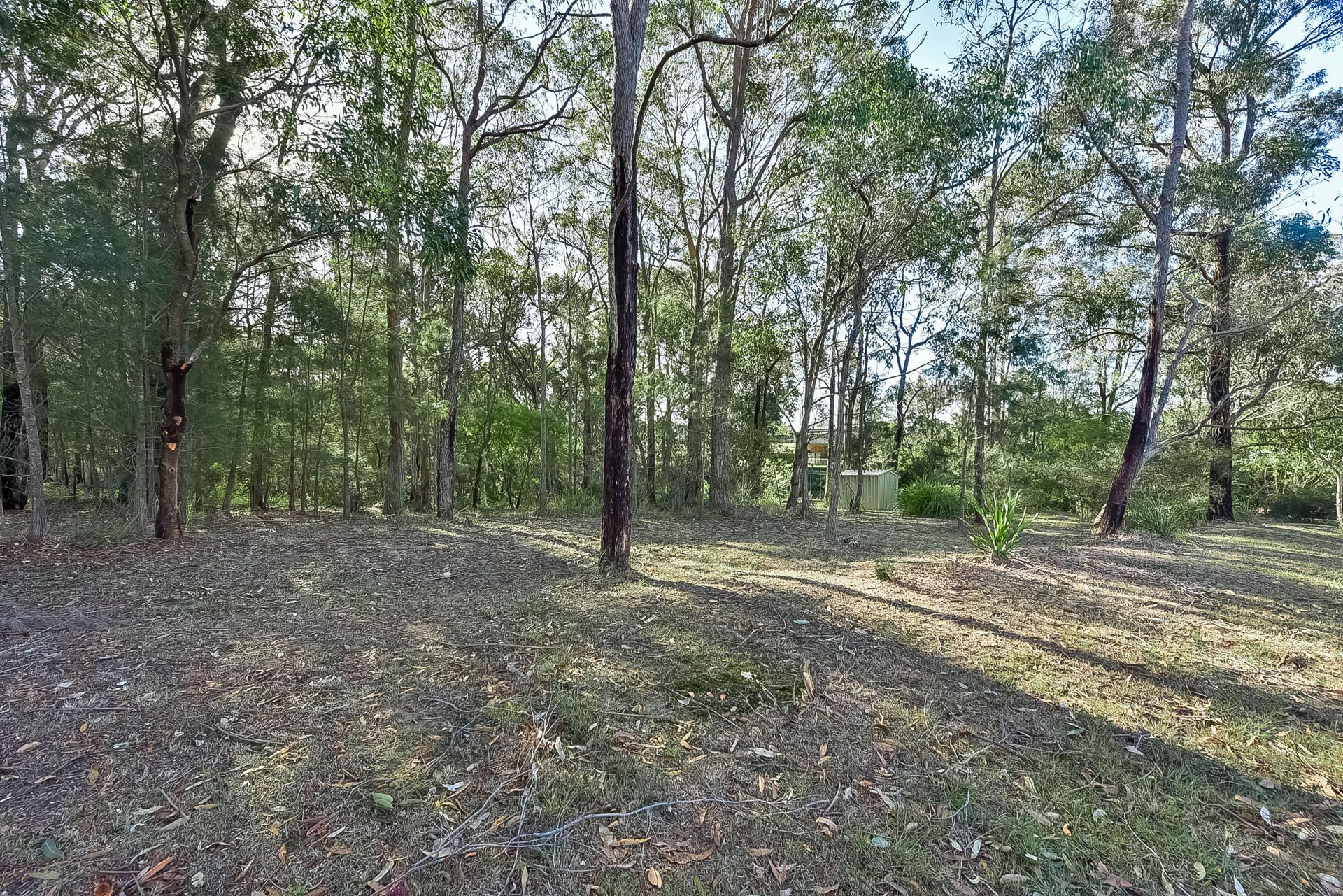 Real Estate For Sale 261 Bargo Road Bargo , NSW