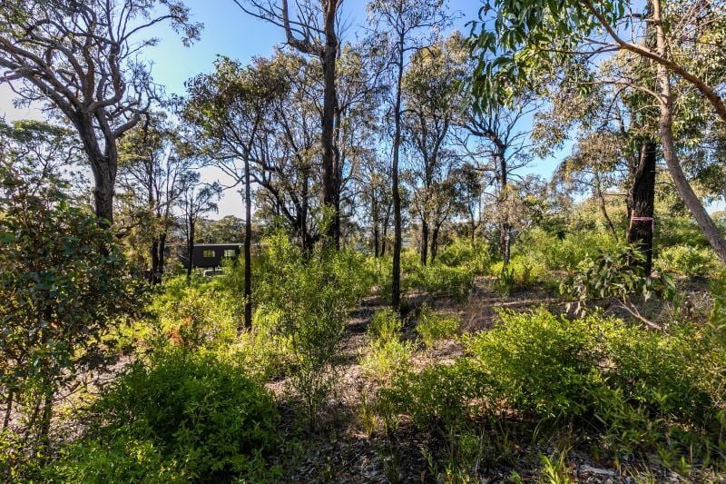 27 Narani Way, Fairhaven - Thumbnail 4