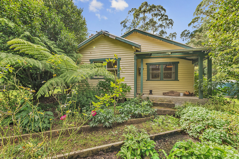 860 Barham River Road, Apollo Bay, VIC, Apollo Bay - Thumbnail 3