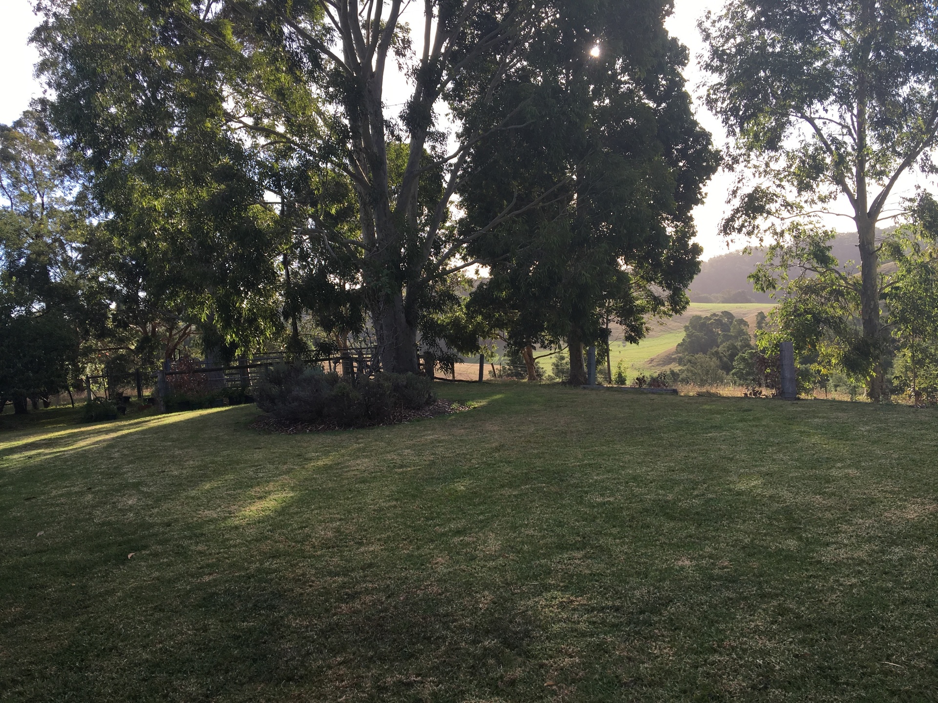 NEWMERELLA, VIC, 3886 House buyMyplace