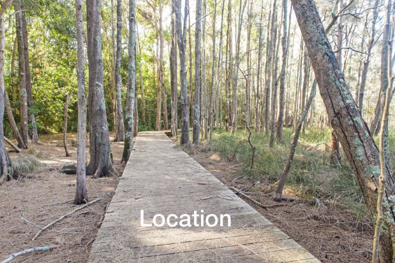 3/4 Anita Crescent Port Macquarie NSW, Port Macquarie - Thumbnail 4