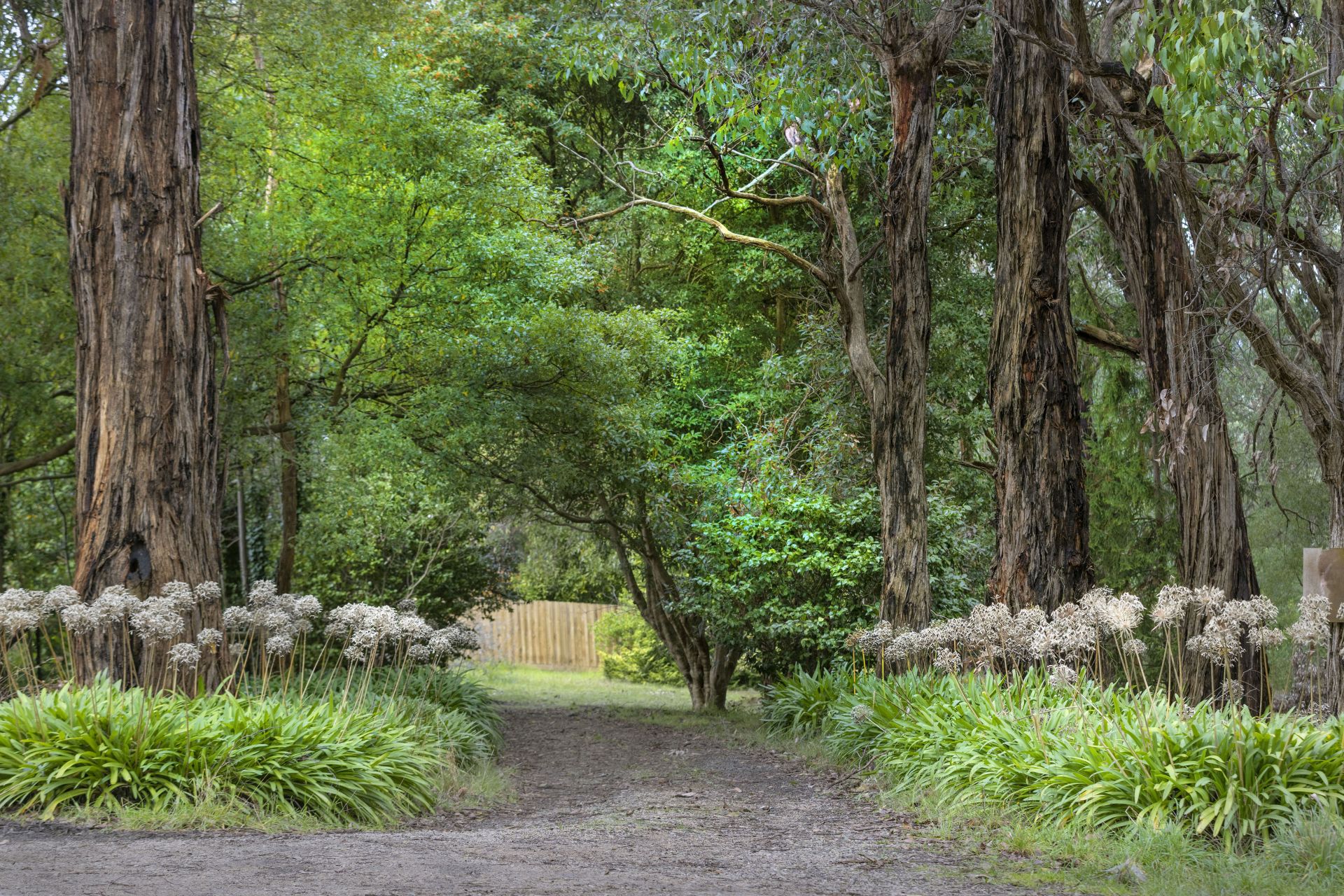 Kay & Burton 63 Red Hill Road, Red Hill South