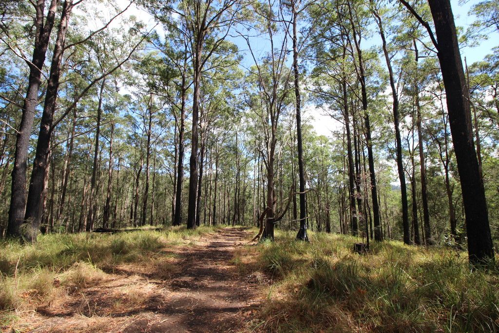 , TELEGRAPH POINT NSW 2441