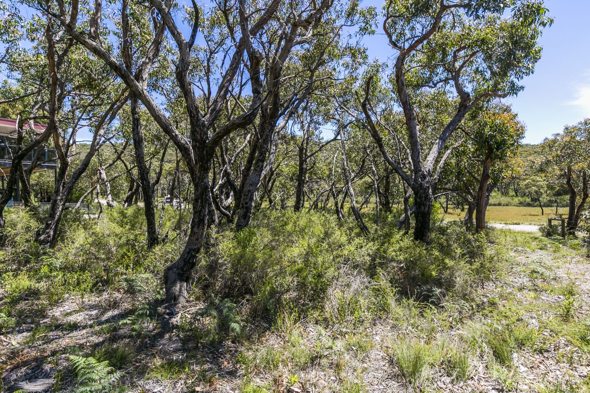 29 Forest Drive, Fairhaven - Thumbnail 5