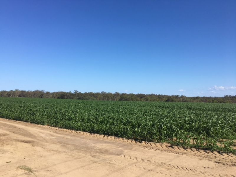 Lot 57 Gordons Road, ALLOWAY Four Walls Realty