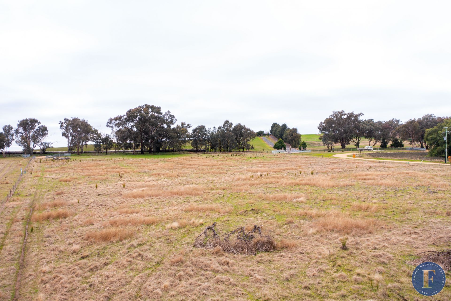 141 Forbes Lane, Young NSW, Young - Thumbnail 4