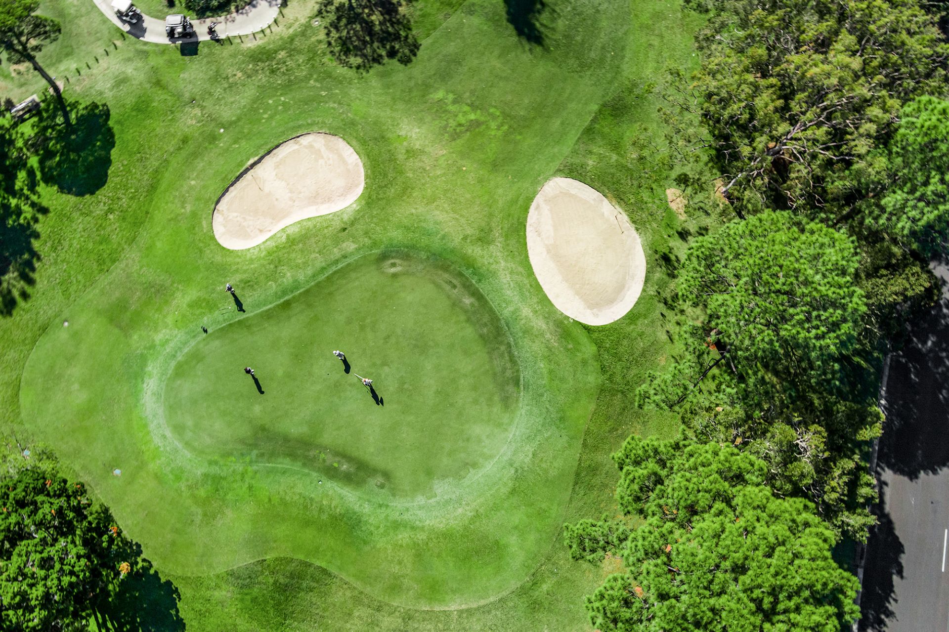 14 Woodfield Crescent, East Ballina Amir Prestige Group