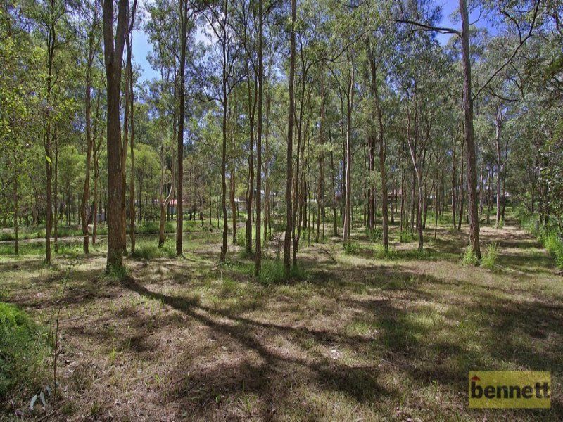 43 Boomerang Drive, Glossodia - Thumbnail 6