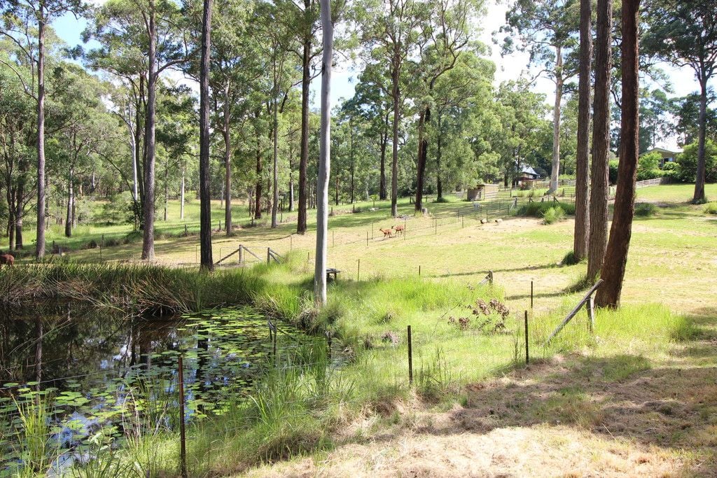 105 Quarry Rd, ROSEWOOD NSW 2446