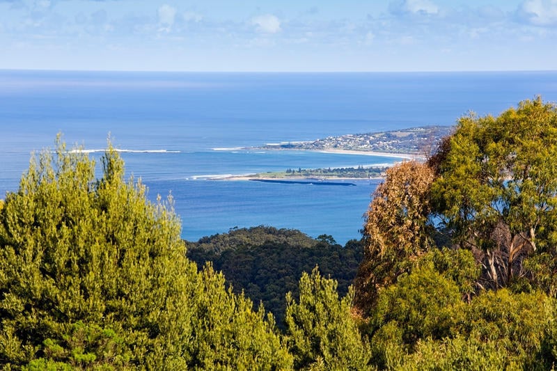 125A Morris Access, Apollo Bay, VIC, Apollo Bay - Thumbnail 4