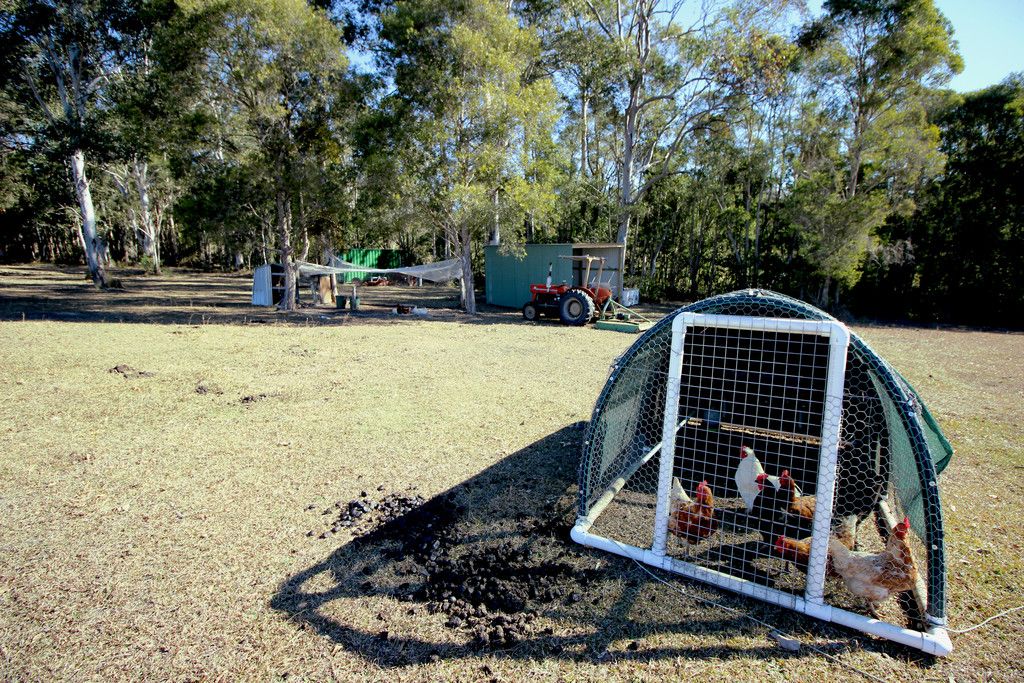 438 Upper Rollands Plains Rd, ROLLANDS PLAINS NSW 2441