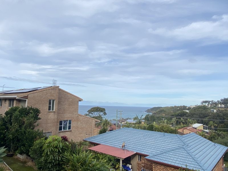 Korora Bay Beauty!