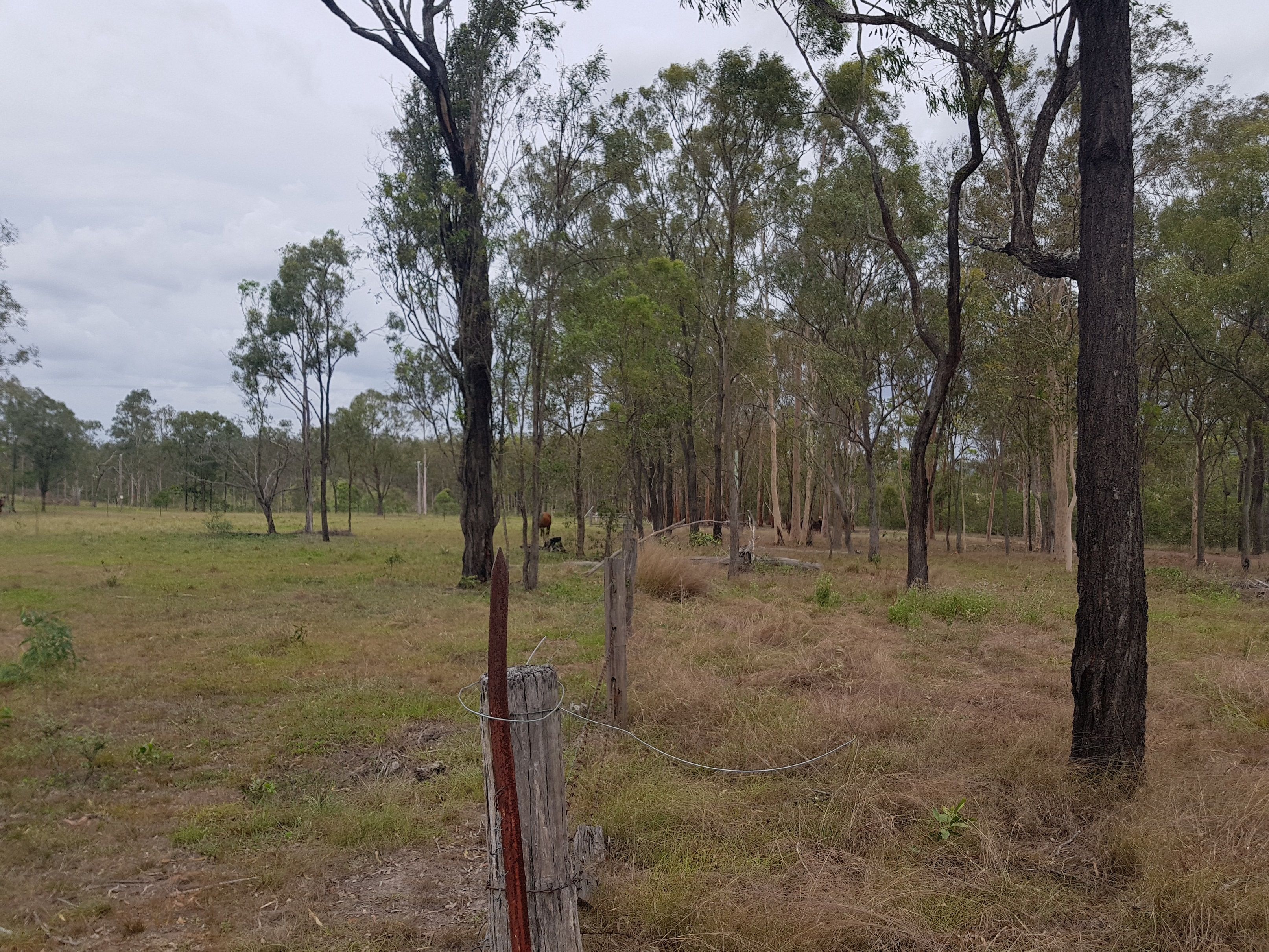 Real Estate For Sale 341 Horsecamp Rd Gin Gin , QLD