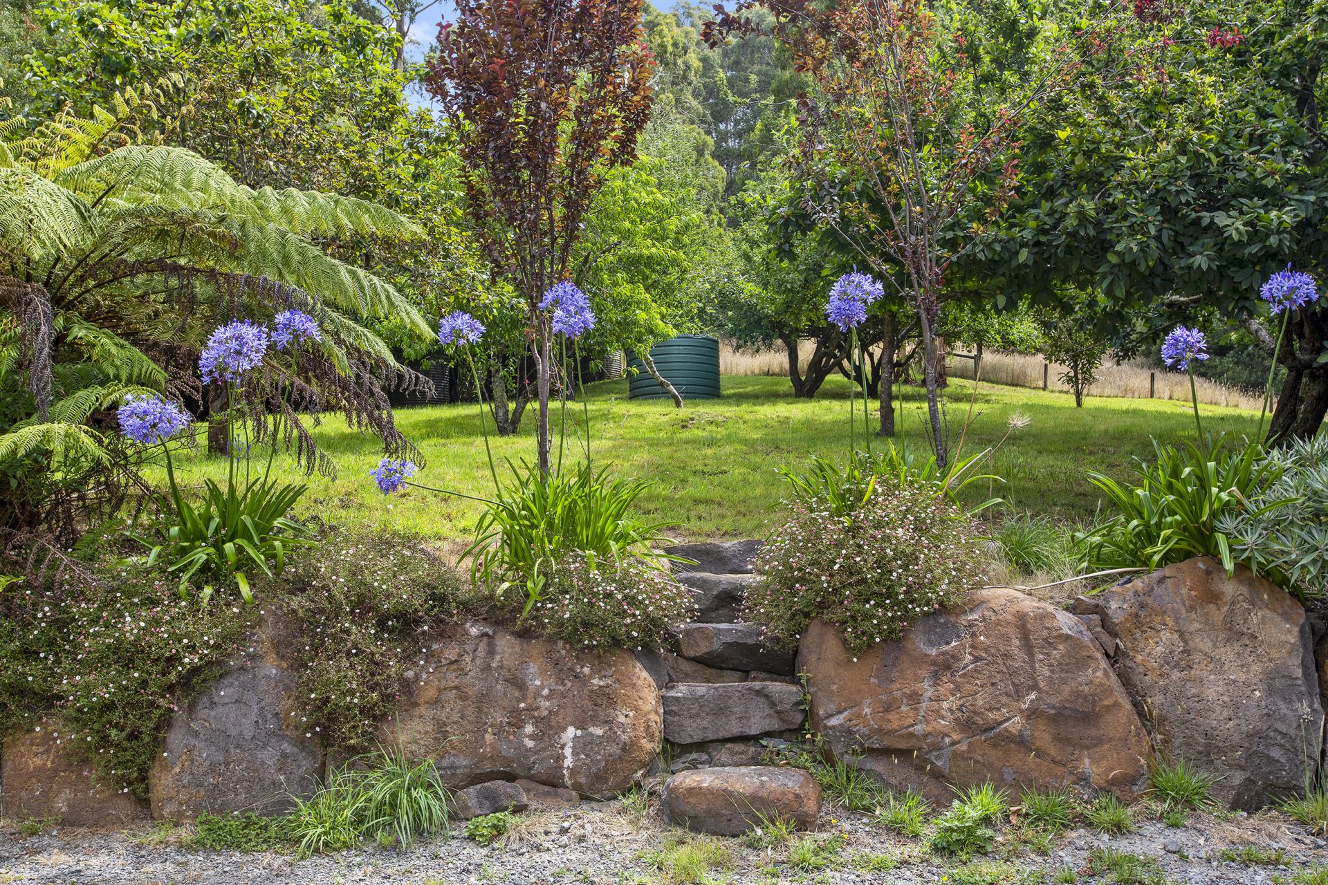 605 Barham River Road, Apollo Bay - Thumbnail 8