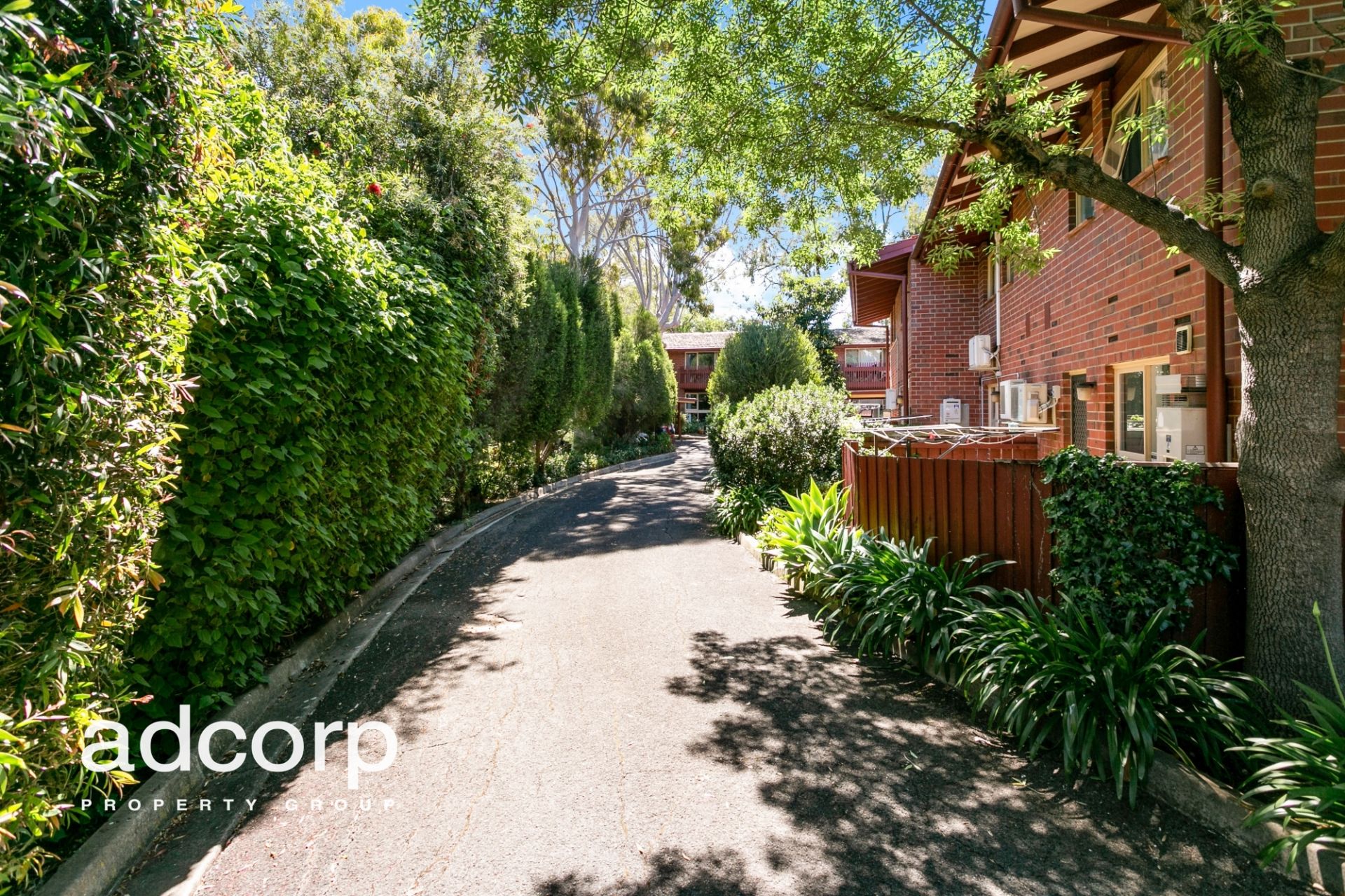 4/36 Trevelyan Street Wayville SA, Wayville - Thumbnail 2